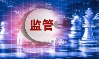 中金环境：2024年净利润2
