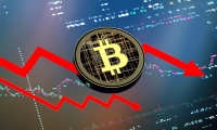 美国1月核心PCE物价指数同比增长2